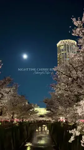 jennifer_eyesのTikTok投稿