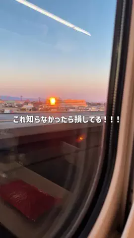 mii_solotravelのTikTok投稿