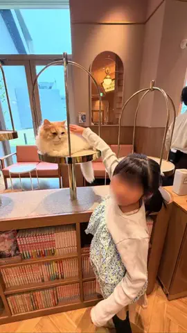 あゆ|愛知子連れお出かけのTikTok投稿