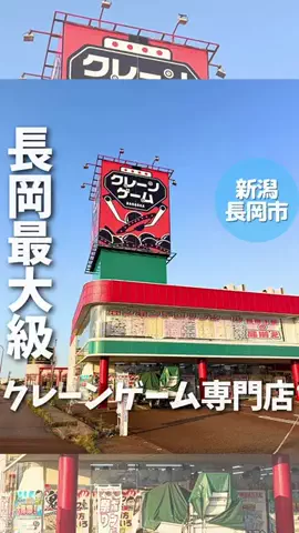 もぐもぐ新潟のTikTok投稿