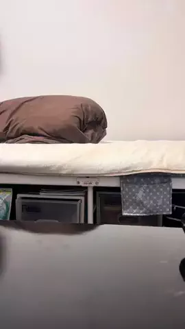 ちっちゃいクマ🧸のTikTok投稿