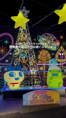はりね│東京お出かけのTikTok投稿