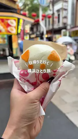 mii_solotravelのTikTok投稿