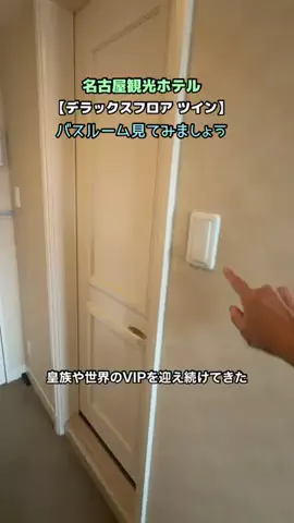 あゆ☆コットンボールランプ専門店のTikTok投稿