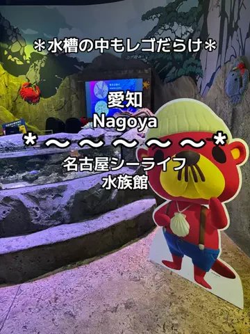 ちーやんのTikTok投稿