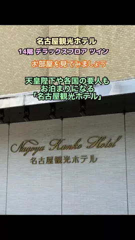 あゆ☆コットンボールランプ専門店のTikTok投稿
