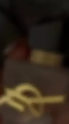 ほちゃのTikTok投稿