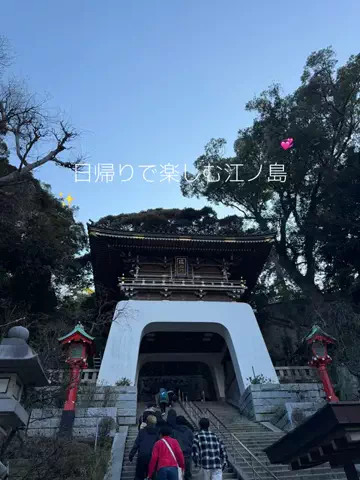 群馬発すー旅⌇旅と暮らしのTikTok投稿