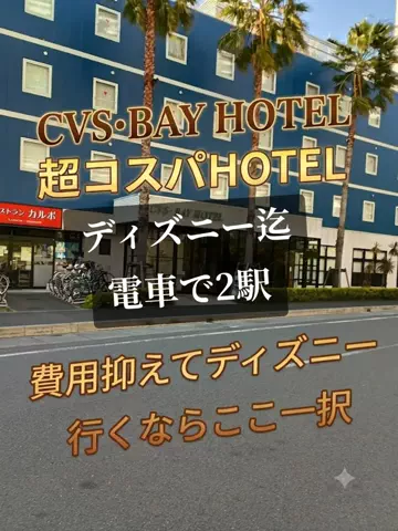トトロのTikTok投稿