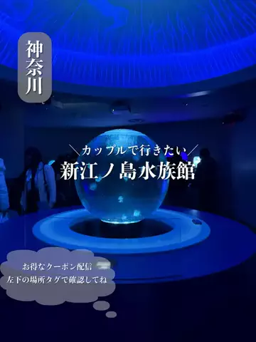 群馬発すー旅⌇旅と暮らしのTikTok投稿