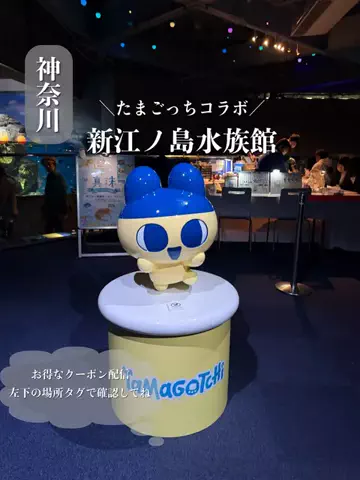 群馬発すー旅⌇旅と暮らしのTikTok投稿