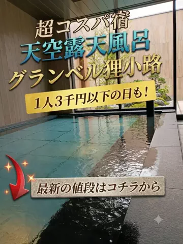 トトロのTikTok投稿