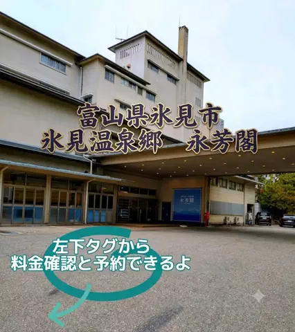 トトロのTikTok投稿