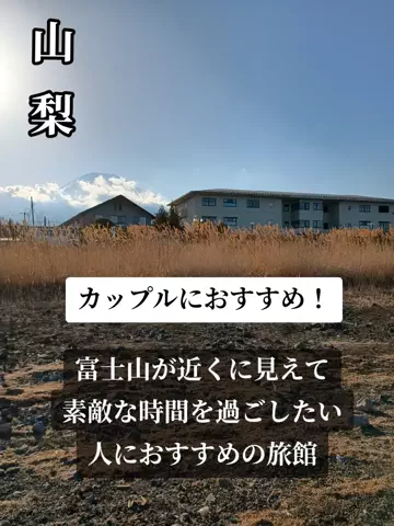トトロのTikTok投稿