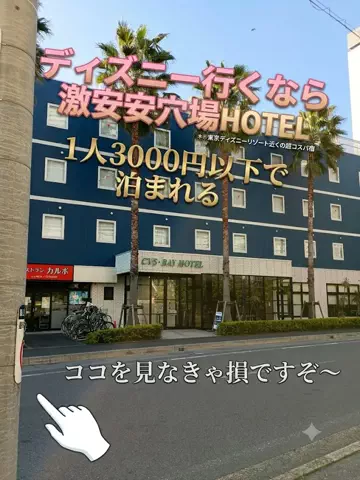 トトロのTikTok投稿