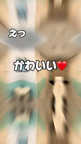 なのは｜名古屋おでかけ女子のTikTok投稿