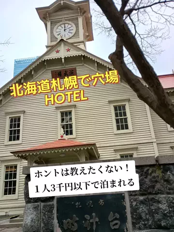 トトロのTikTok投稿