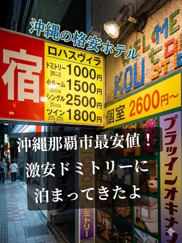 トトロのTikTok投稿