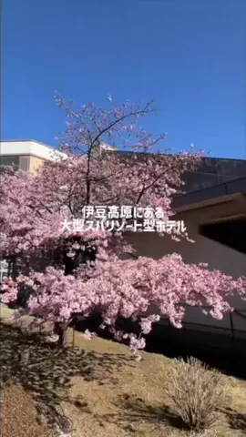 DJ  KASUMI💋のTikTok投稿
