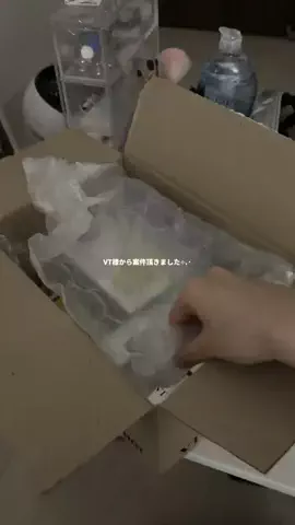 ぴののTikTok投稿