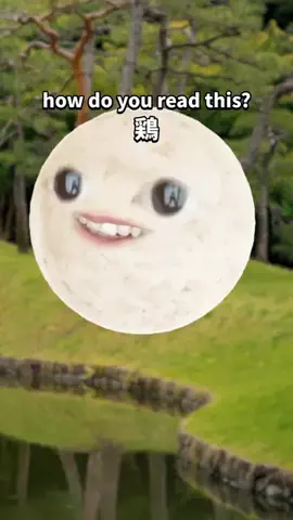Japanese with Gohan-kunのTikTok投稿