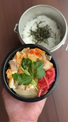 れなべん✌️のTikTok投稿