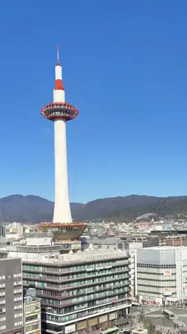京都グルメ／KYOTO SELECTのTikTok投稿