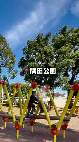 東大ママのTikTok投稿