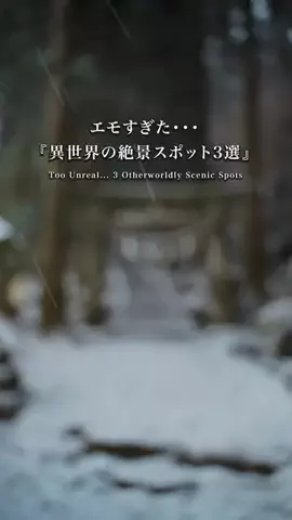 HikaruのTikTok投稿