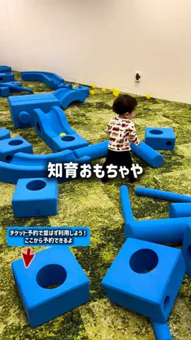 東大ママのTikTok投稿