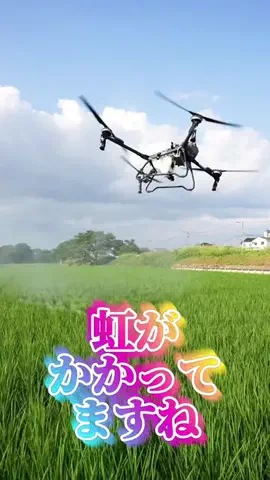 あさぎちゃん🍻⛳のTikTok投稿