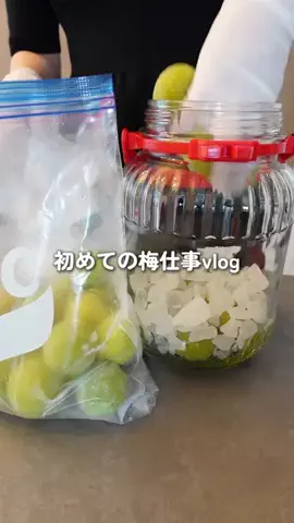 Y U N AのTikTok投稿