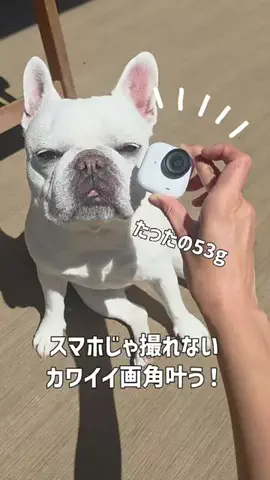 フレブルのやまわきさんのTikTok投稿