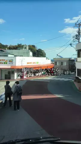 静岡グルメ／SHIZUOKA SELECTのTikTok投稿