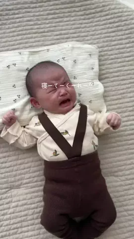 ぴーまま⌇0歳ベビとのごきげんな暮らしのTikTok投稿
