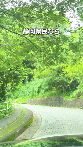 静岡グルメ／SHIZUOKA SELECTのTikTok投稿