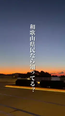 和歌山グルメ／WAKAYAMA SELECTのTikTok投稿