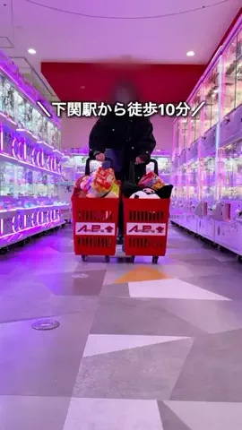 わいすぽ🐡山口県“見るだけ”おでかけ攻略のTikTok投稿
