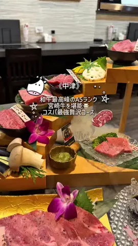 ぷくᑦᑋᵃⁿのTikTok投稿