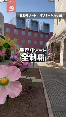 つきとほし🦉星野リゾート全制覇した夫婦のTikTok投稿