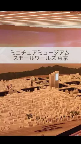 まりのTikTok投稿