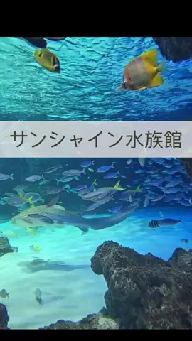 まりのTikTok投稿