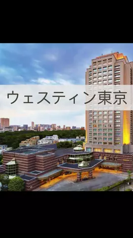 まりのTikTok投稿