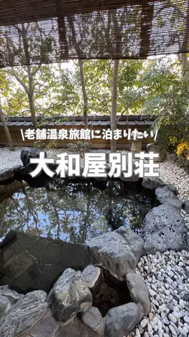はらぺこももたすのTikTok投稿