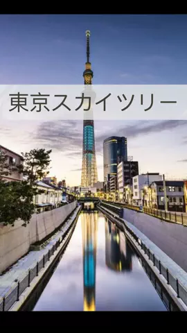 まりのTikTok投稿
