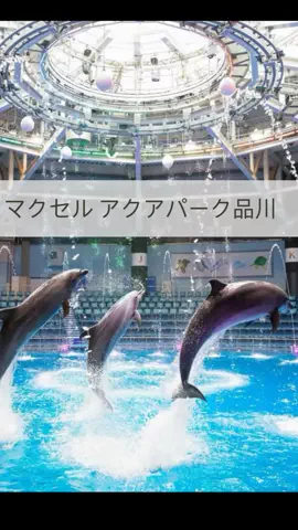 まりのTikTok投稿