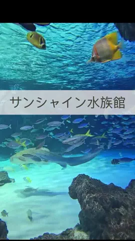 まりのTikTok投稿