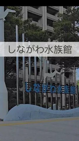 まりのTikTok投稿
