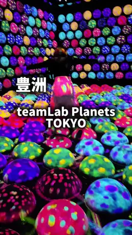 はらぺこももたすのTikTok投稿