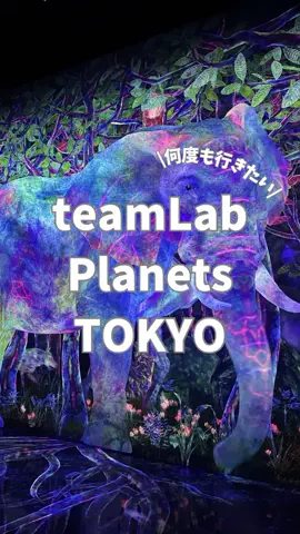 はらぺこももたすのTikTok投稿